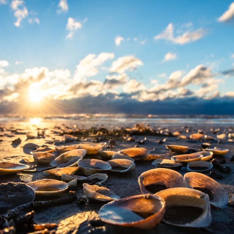 Image for Thing To Do Area Info